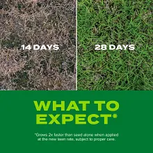 Scotts&reg; Turf Builder&reg; Rapid Grass&trade; Bermudagrass image number null