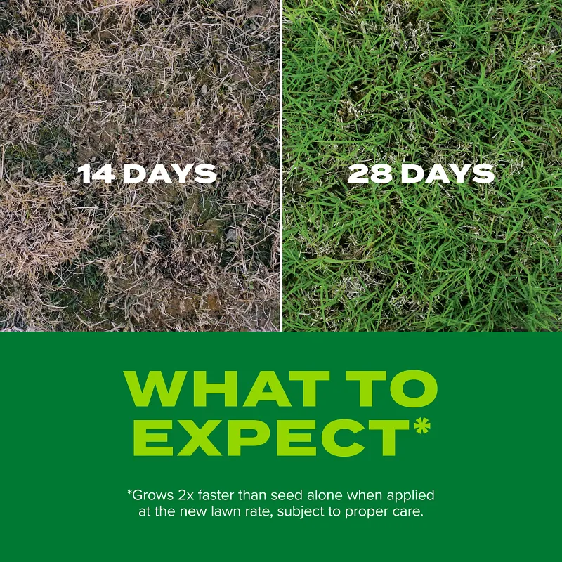 Scotts&reg; Turf Builder&reg; Rapid Grass&trade; Bermudagrass image number 5.0