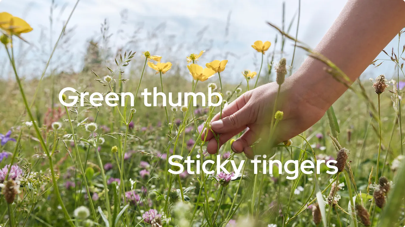 Green thumb sticky fingers