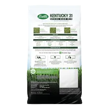 Scotts Kentucky 31 Grass Seed Mix image number null