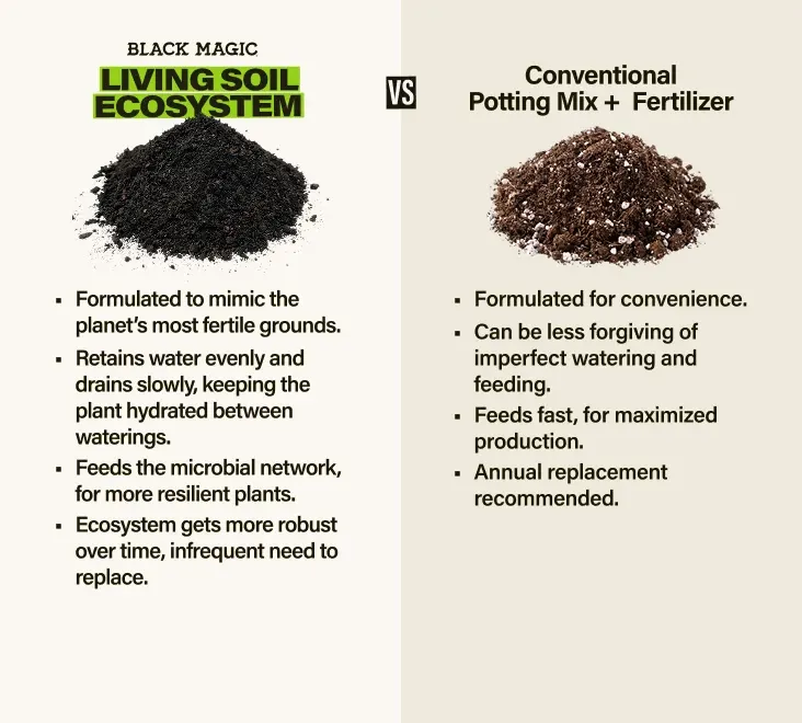 Black Magic living soil ecosystem vs. conventional potting mix + fertilizer | Living Soil Ecosystem - Formulated to mimic the planets most fertile grounds, retains water evenly and drains slowly, feeds the microbial network, ecosystem gets more robust over time | Conventional Potting Mix: - Formulated for convenience, can be less forgiving of imperfect watering and feeding, feeds fast for maximized production, annual replacement recommended.
