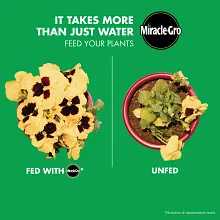 Miracle-Gro&reg; Water Soluble Bloom Booster&reg; Flower Food Image 2