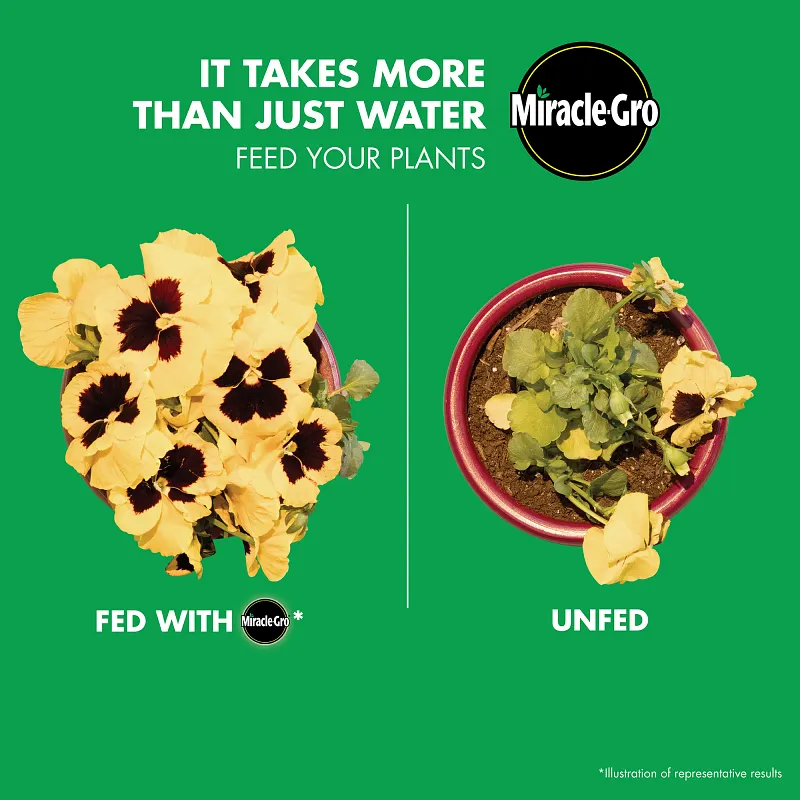 Miracle-Gro&reg; Water Soluble Bloom Booster&reg; Flower Food Image 2