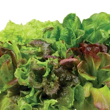 AeroGarden Heirloom Salad Greens Seed Pod Kit image number null