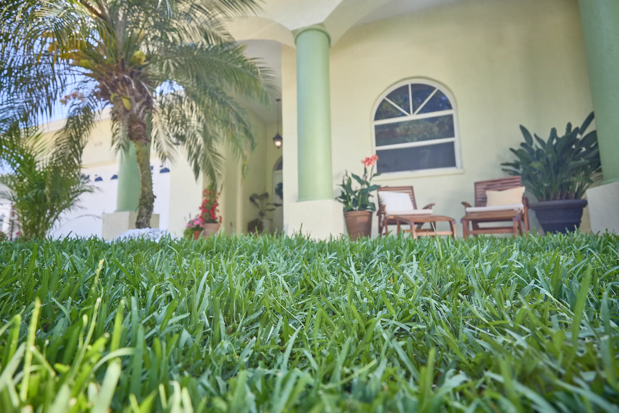 Close-up of a southern front lawn with St. Augustine grass.