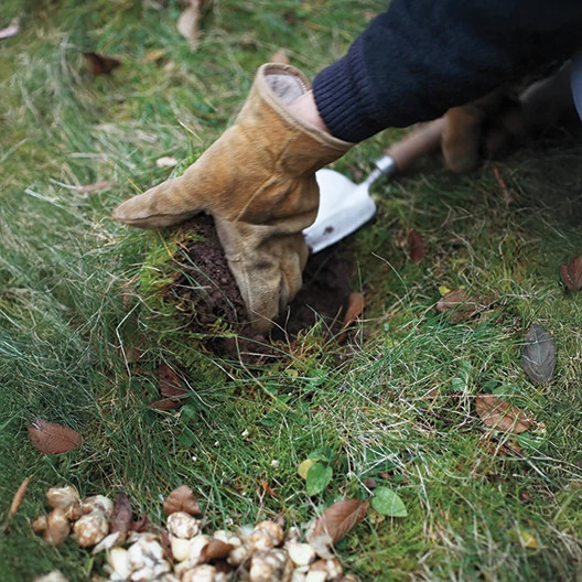 covering hole with grass flap