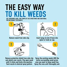 Roundup&reg; Dual Action Weed & Grass Killer Plus 4 Month Preventer with Sure Shot&trade; Wand image number null