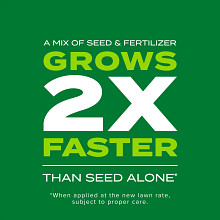 Scotts&reg; Turf Builder&reg; Rapid Grass&trade; Bermudagrass image number null
