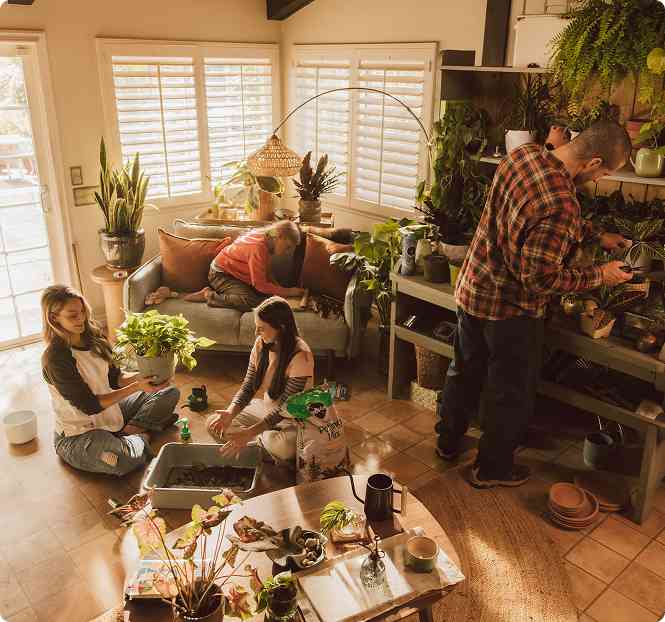 Miracle-Gro Twelve Indoor Growing System