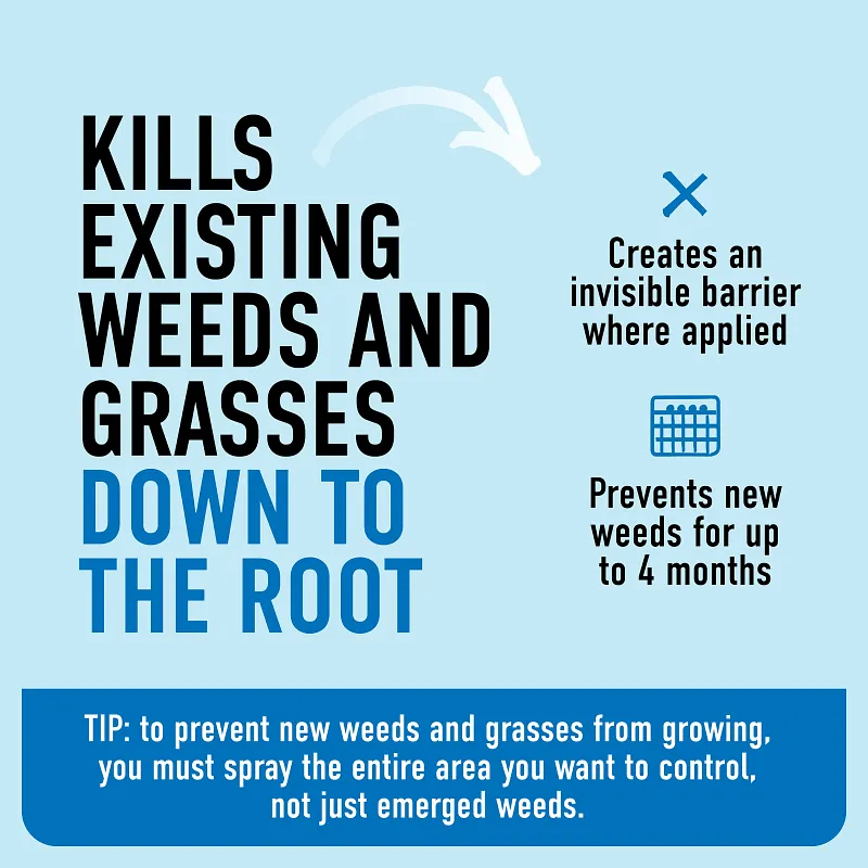 Roundup&reg; Dual Action Weed & Grass Killer Plus 4 Month Preventer with Sure Shot&trade; Wand image number 6.0