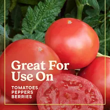 Miracle-Gro&reg; Shake 'N Feed&reg; Tomato, Fruit & Vegetable Plant Food image number null