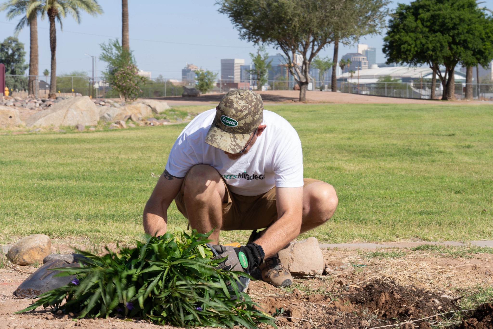 planting native plants in an urban park