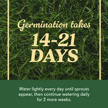 O.M. Scott & Sons&trade; Bermudagrass Grass Seed, 5 lbs. image number null