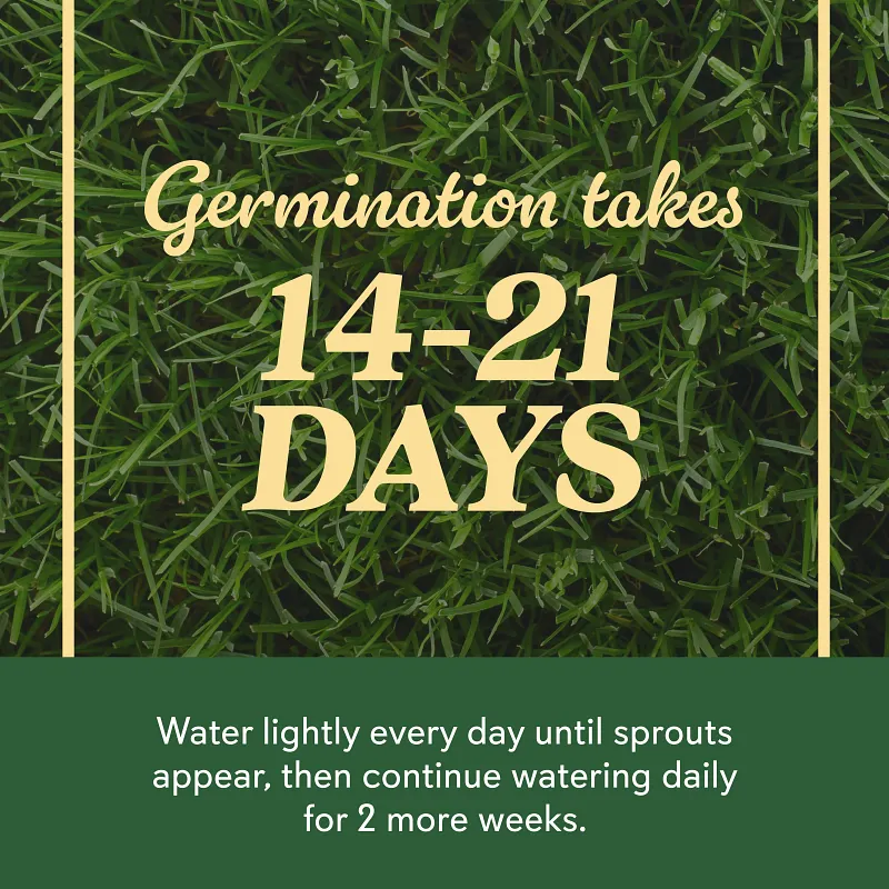 O.M. Scott & Sons&trade; Bermudagrass Grass Seed, 5 lbs. image number 10.0