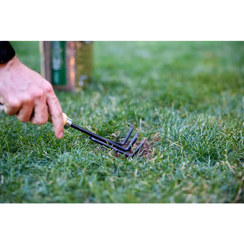 Scotts&reg; EZ Seed&reg; Patch & Repair image number 4.0