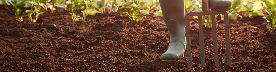 Arroser vos plantes pendant vos vacances | ScottsMiracle-Gro CA