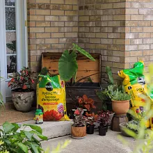 Potting Mix image number null