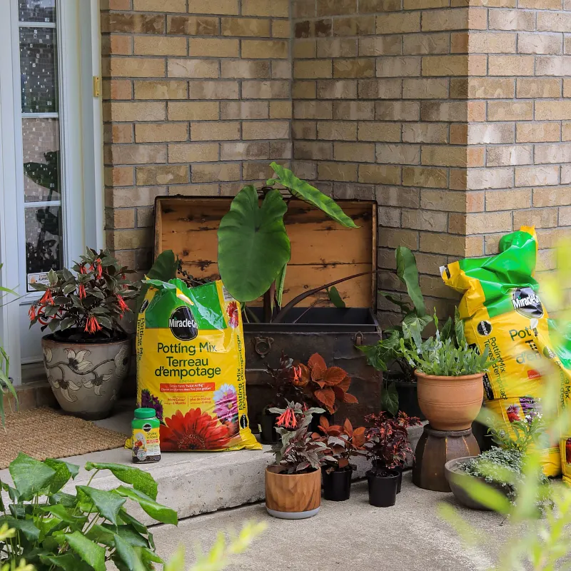 Potting Mix image number 6.0