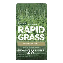 Scotts&reg; Turf Builder Rapid Grass&trade; Southern Gold&reg; Blend for Tall Fescue Lawns image number null