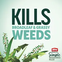 Ortho GroundClear Simple Weed and Grass Killer image number null