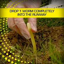 Tomcat Mole Killerₐ, 12 Worms Image 6