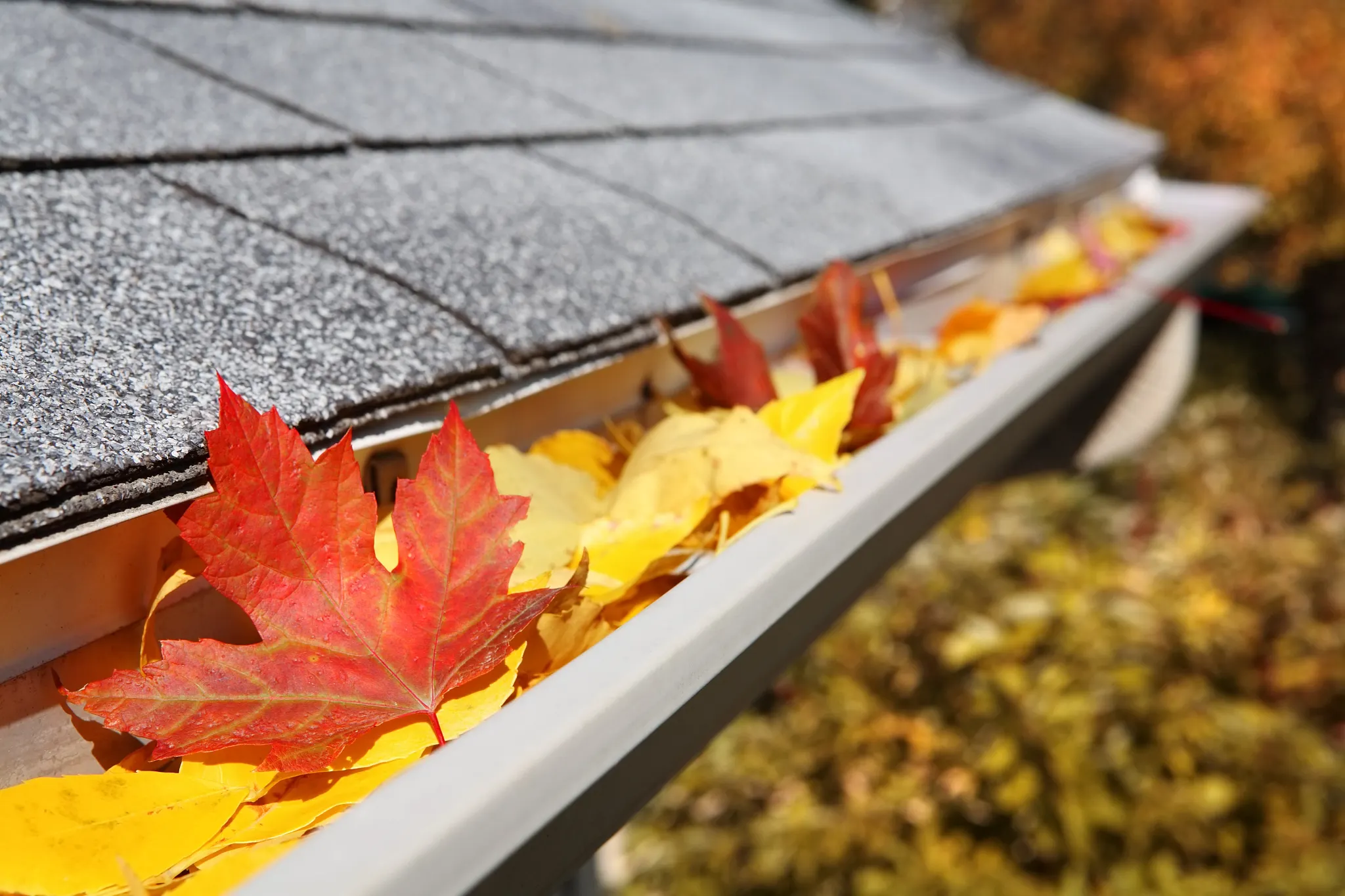 A home's gutter filled with fall leaves.