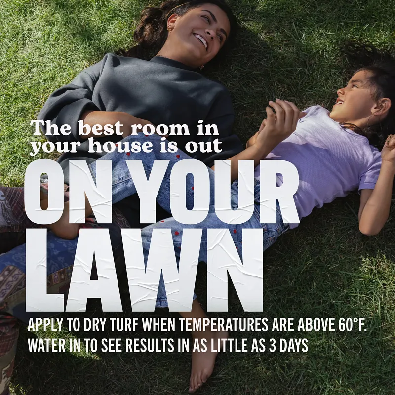 Scotts Turf Builder Southern Lawn Food image number 8.0