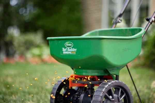 Does Corn Gluten Kill Weeds in Lawn? The Truth Revealed