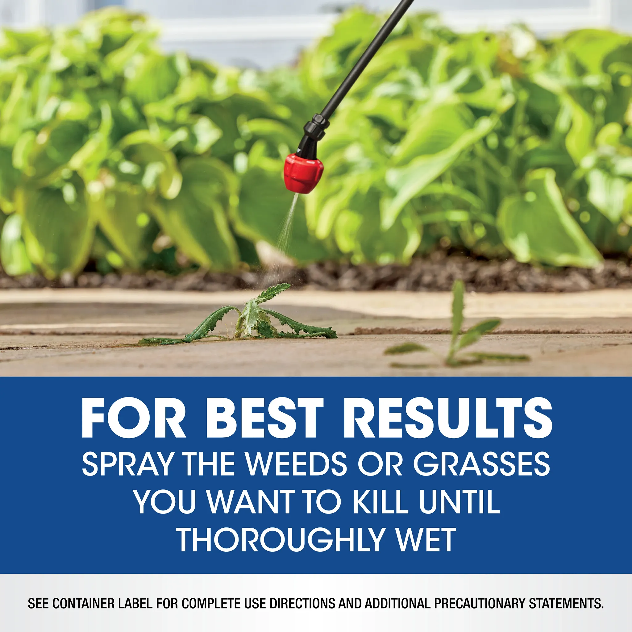 Roundup Weed And Grass Killer - Thumbnail 4