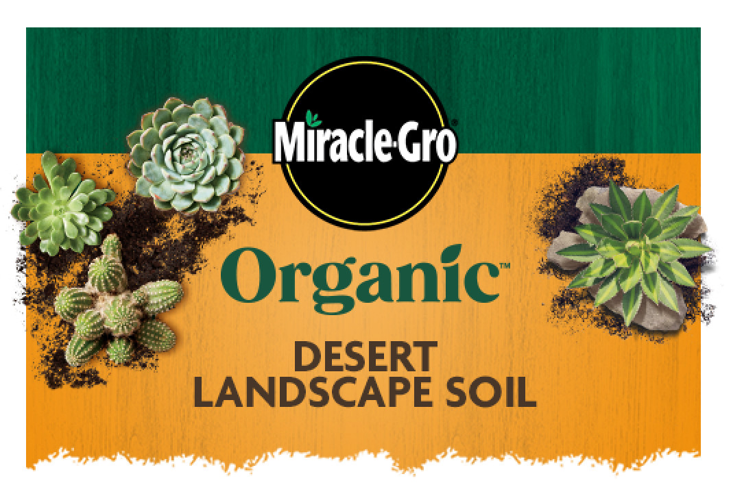 desert landscape packaging