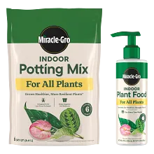 Miracle-Gro&reg; Indoor Potting Mix and Miracle-Gro&reg; Indoor Plant Food image number null
