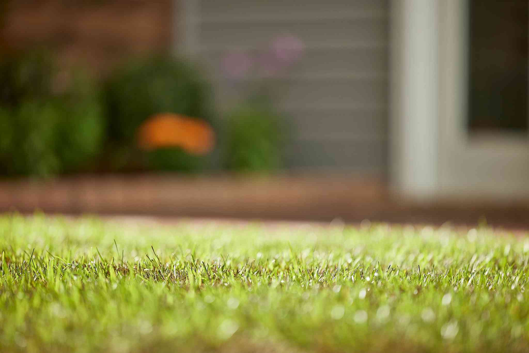 Top Dressing Lawns | ScottsMiracle-Gro US Top Dressing Lawns | ScottsMiracle-Gro US