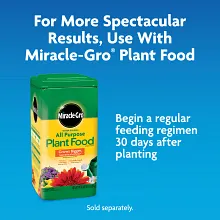Miracle-Gro&reg; Moisture Control&reg; Potting Mix Image 11