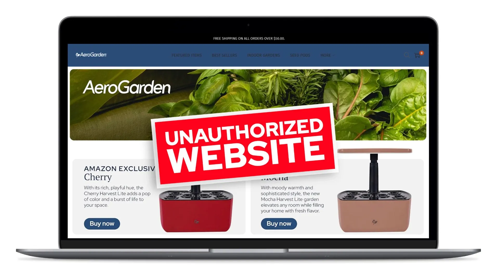 Screen shot of unauthorized website​ homepage. Text reads: Unauthorized Website.