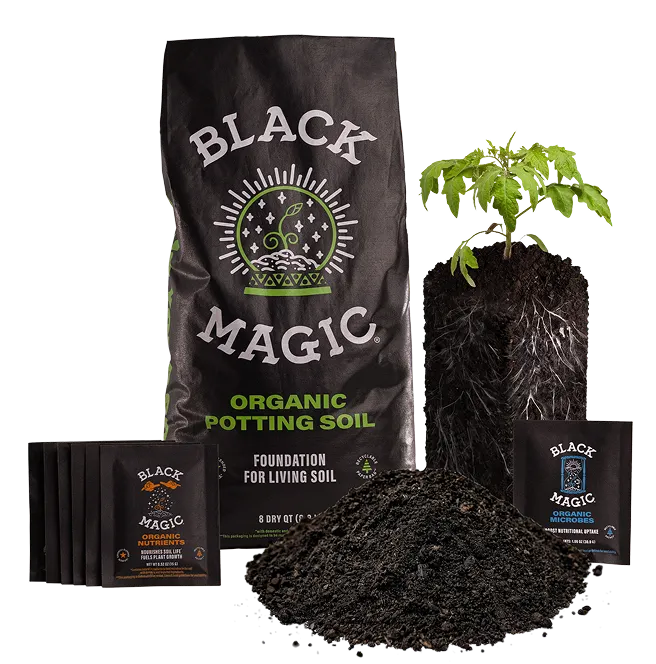 Black magic products including Potting Mix, Organic Microbes, and Organic Nutrients.