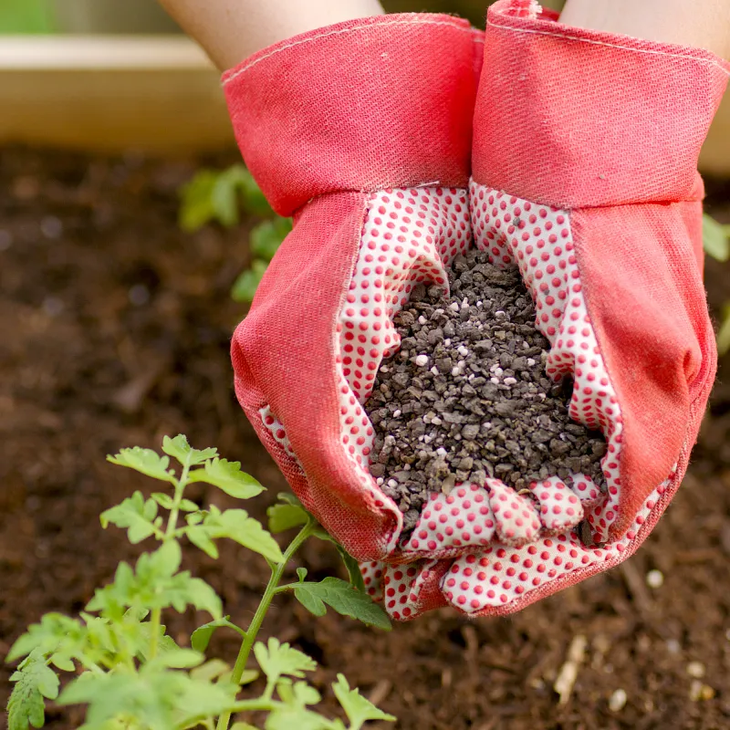 Miracle-Gro&reg; Shake N Feed Tomato, Fruits & Vegetables Plant Food image number 4.0