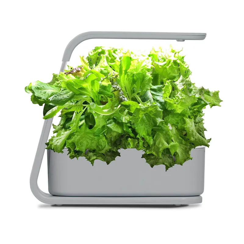 AeroGarden Sprout with Gourmet Herb Seed Pod Kit, Cool Gray image number 6.0