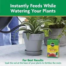Miracle-Gro&reg; Water Soluble All Purpose Plant Food Image 10