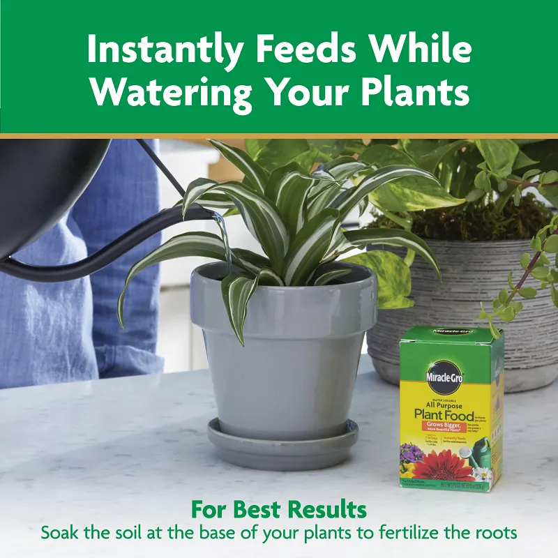 Miracle-Gro&reg; Water Soluble All Purpose Plant Food Image 10