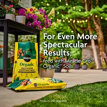 Miracle-Gro Organic Liquid Plant Food image number null