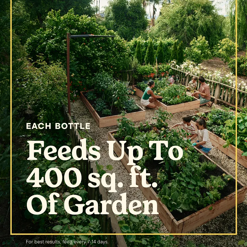 Miracle-Gro&reg; LiquaFeed&reg; All Purpose Plant Food image number 3.0