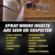 Ortho Orthene Ant & Roach Killer Aerosol image number null