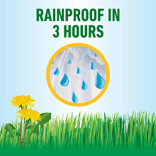 Roundup For Lawns₁ Ready-To-Use with Extend Wand image number null