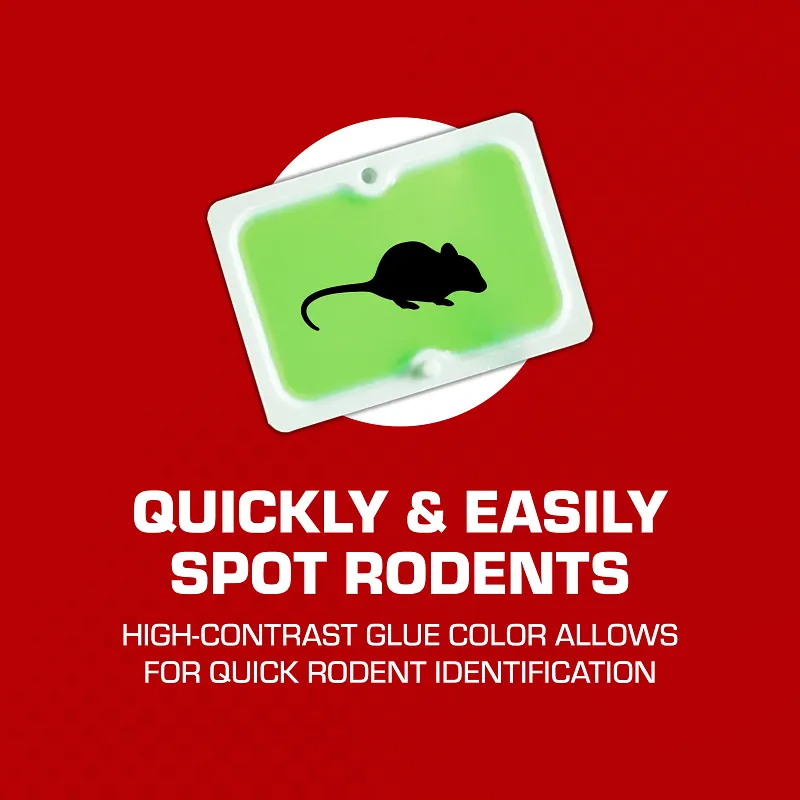 Tomcat&reg; Super Hold Glue Traps Mouse Size Image 9