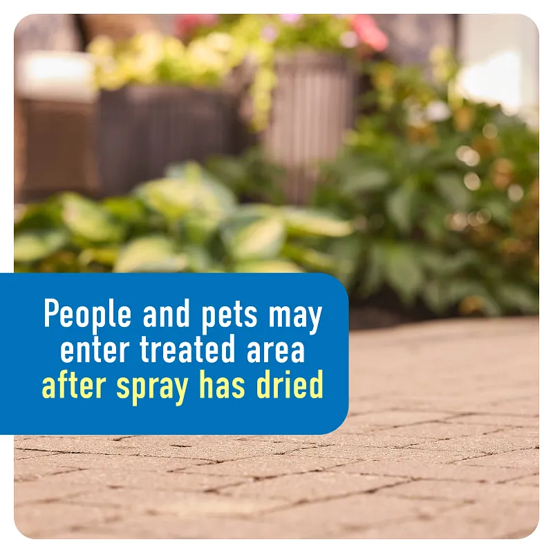 Roundup&reg; Weed & Grass Killer₄ Refill image number 9.0