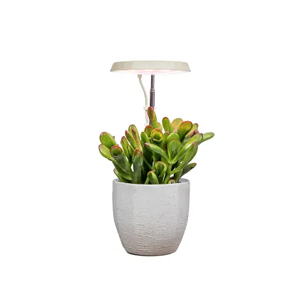 AeroGarden Stem Grow Light