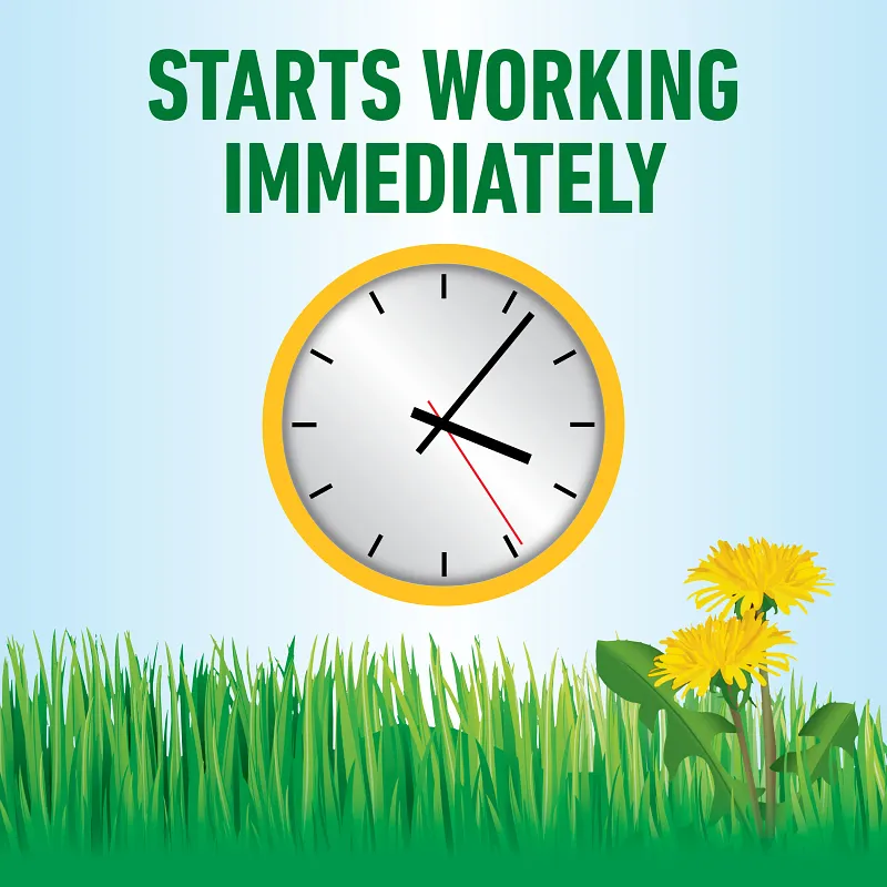 Roundup&reg; For Lawns₁ image number 5.0