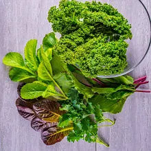 AeroGarden Mixed Kale Seed Pod Kit image number null