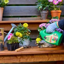 Quick Start&reg;+ Planting & Transplant Solution image number null