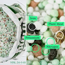 Scotts Turf Builder Southern Lawn Food image number null